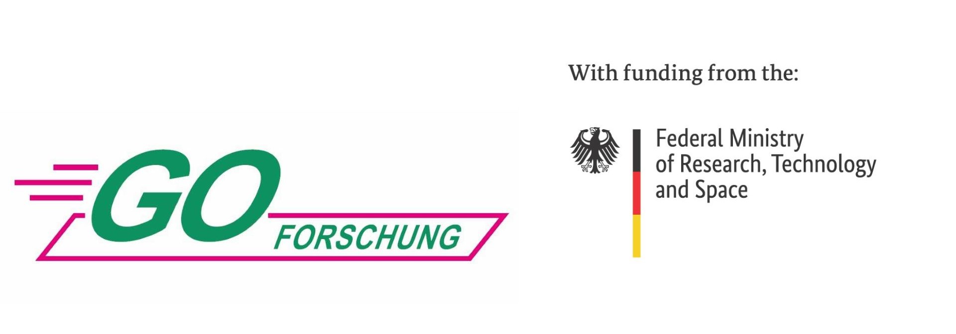 Logo GO Forschung and Federal Ministry of Research, Technology and Space (BMFTR))